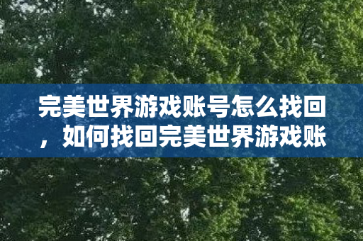 完美世界游戏账号怎么找回图片