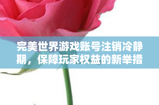 完美世界游戏账号注销冷静期图片