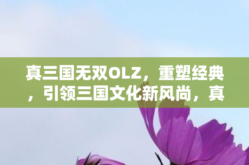 真三国无双OLZ重塑经典图片