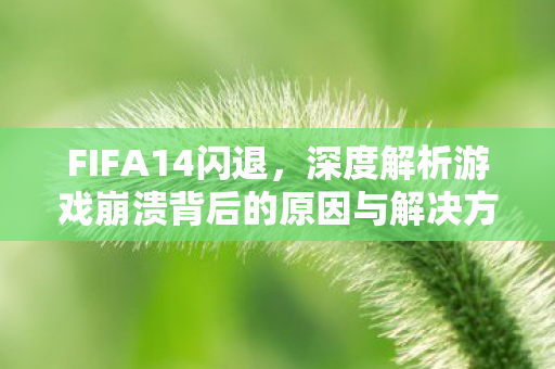 深度解析游戏崩溃背后的原因与解决方案图片