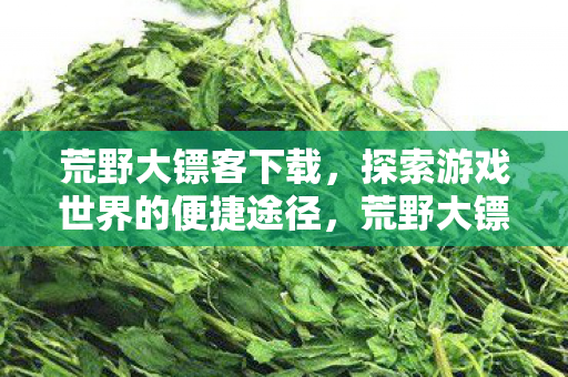 荒野大镖客下载,探索游戏世界的便捷途径,荒野大镖客下载,探索游戏世界的便捷途径 荒野大镖客下载,探索游戏世界的便捷途径,荒野大镖客下载,探索游戏世界的便捷途径