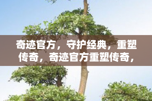 奇迹官方重塑传奇图片