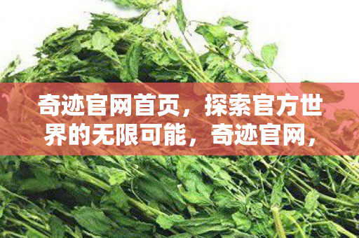 探索官方世界的无限可能图片