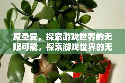 原圣爱,探索游戏世界的无限可能,探索游戏世界的无限可能,原圣爱之旅 原圣爱,探索游戏世界的无限可能,探索游戏世界的无限可能,原圣爱之旅
