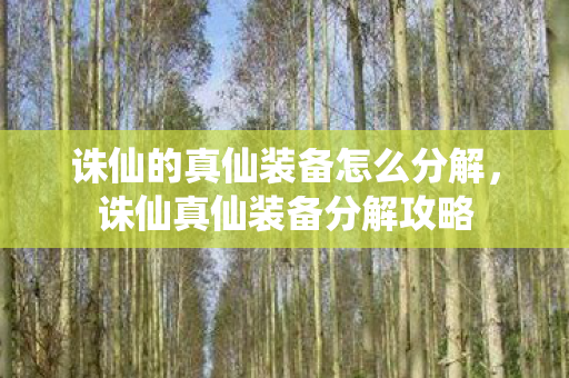 诛仙的真仙装备怎么分解,诛仙真仙装备分解攻略 诛仙的真仙装备怎么分解,诛仙真仙装备分解攻略