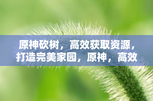 高效获取资源图片