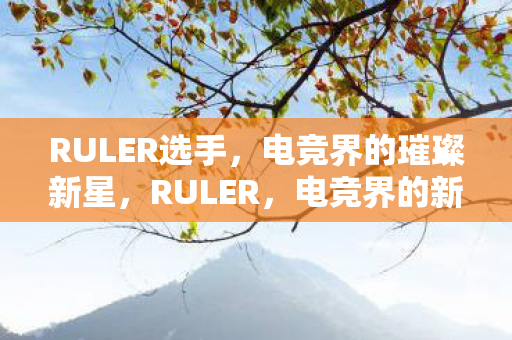 RULER选手,电竞界的璀璨新星,RULER,电竞界的新星 RULER选手,电竞界的璀璨新星,RULER,电竞界的新星