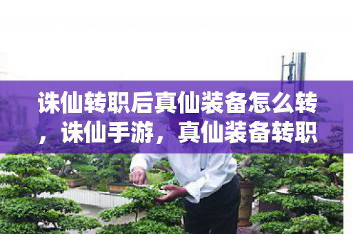诛仙转职后真仙装备怎么转,诛仙手游,真仙装备转职后如何转换? 诛仙转职后真仙装备怎么转,诛仙手游,真仙装备转职后如何转换?