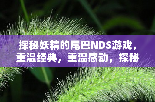 探秘妖精的尾巴NDS游戏,重温经典,重温感动,探秘妖精的尾巴NDS游戏,重温经典重温感动 探秘妖精的尾巴NDS游戏,重温经典,重温感动,探秘妖精的尾巴NDS游戏,重温经典重温感动