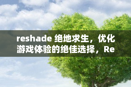 reshade 绝地求生,优化游戏体验的绝佳选择,Reshade,提升绝地求生游戏体验的绝佳选择 reshade 绝地求生,优化游戏体验的绝佳选择,Reshade,提升绝地求生游戏体验的绝佳选择