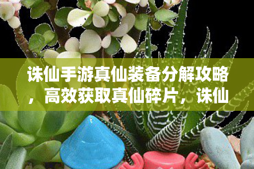 诛仙手游真仙装备分解攻略图片