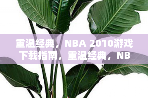 重温经典,NBA 2010游戏下载指南,重温经典,NBA 2010游戏下载全攻略 重温经典,NBA 2010游戏下载指南,重温经典,NBA 2010游戏下载全攻略