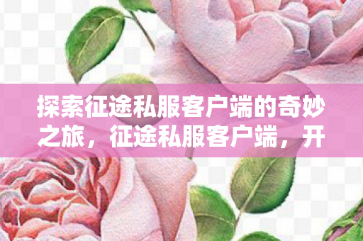 探索征途私服客户端的奇妙之旅图片