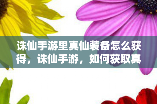 诛仙手游里真仙装备怎么获得,诛仙手游,如何获取真仙装备? 诛仙手游里真仙装备怎么获得,诛仙手游,如何获取真仙装备?