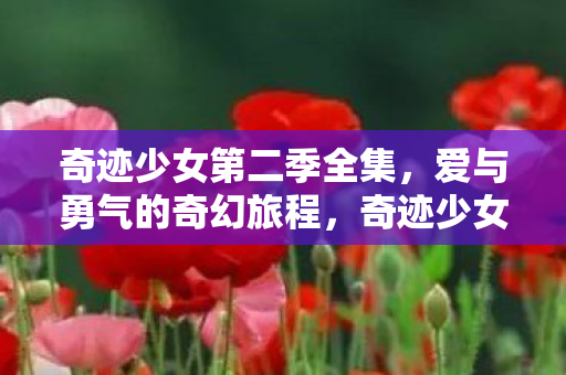 奇迹少女第二季全集图片