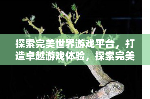 探索完美世界游戏平台图片