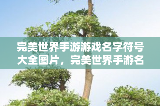 完美世界手游游戏名字符号大全图片图片