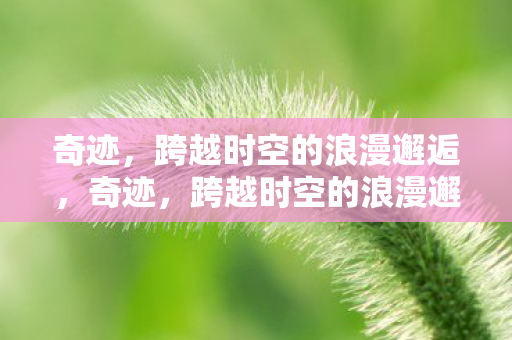 跨越时空的浪漫邂逅图片