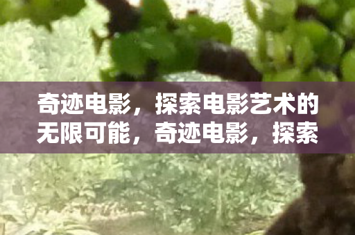 探索电影艺术的无限可能图片