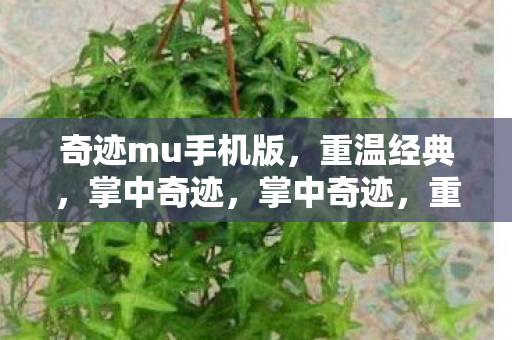 重温经典奇迹MU手机游戏版图片