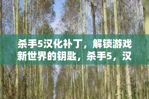 杀手5汉化补丁,解锁游戏新世界的钥匙,杀手5,汉化补丁解锁游戏新世界 杀手5汉化补丁,解锁游戏新世界的钥匙,杀手5,汉化补丁解锁游戏新世界