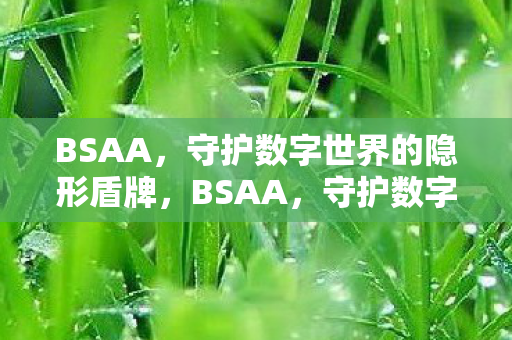 BSAA，守护数字世界的隐形盾牌，BSAA，守护数字世界的隐形盾牌