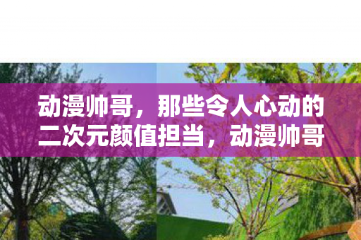 那些令人心动的二次元颜值担当图片