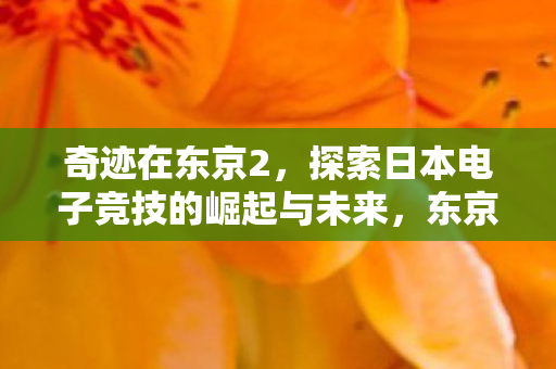 探索日本电子竞技的崛起与未来图片
