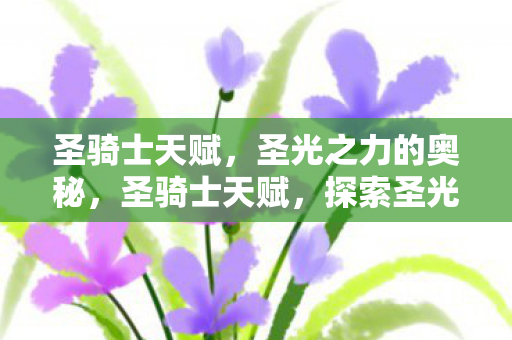 圣骑士天赋,圣光之力的奥秘,圣骑士天赋,探索圣光之力的奥秘 圣骑士天赋,圣光之力的奥秘,圣骑士天赋,探索圣光之力的奥秘
