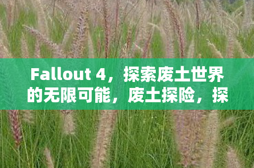 探索Fallout 4的无限可能图片