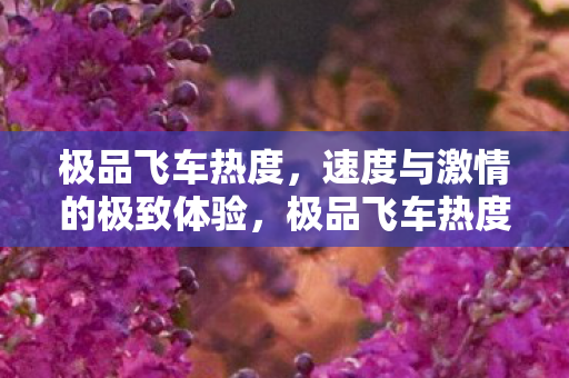 速度与激情的极致体验图片