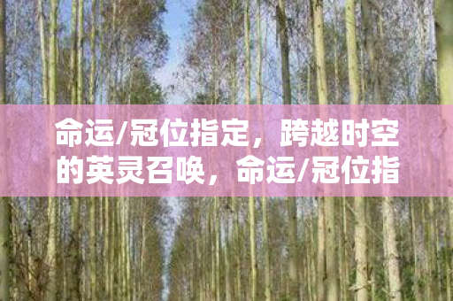 跨越时空的英灵召唤之旅图片