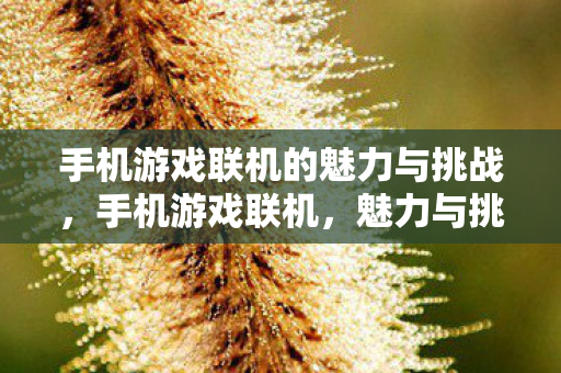 手机游戏联机的魅力与挑战图片