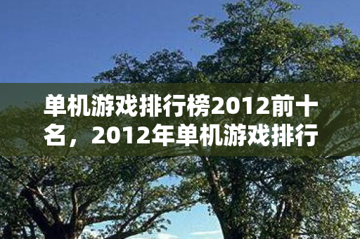 2012年单机游戏排行榜前十名揭晓图片