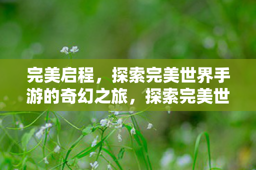 探索完美世界手游的奇幻之旅图片