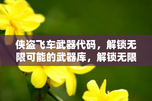 侠盗飞车武器代码全揭秘图片