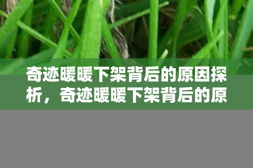 奇迹暖暖下架背后的原因探析图片