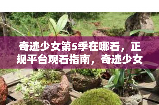 奇迹少女第5季正规平台观看指南图片