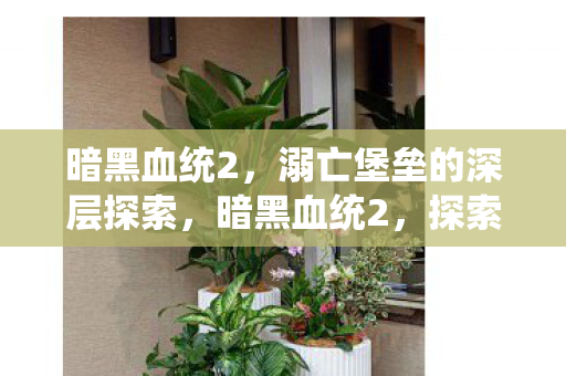 探索溺亡堡垒的深层秘密图片