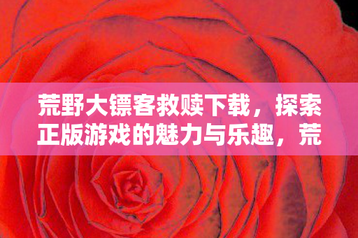 探索正版游戏的魅力与乐趣图片