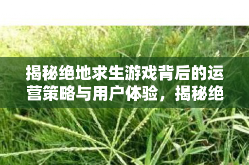 揭秘绝地求生游戏背后的运营策略与用户体验图片