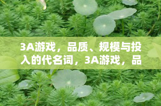 规模与投入的代名词图片
