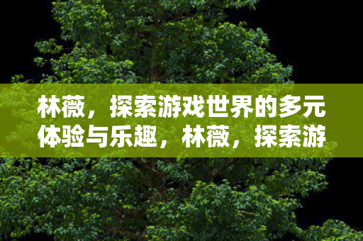 林薇,探索游戏世界的多元体验与乐趣,林薇,探索游戏世界的多元体验与乐趣 林薇,探索游戏世界的多元体验与乐趣,林薇,探索游戏世界的多元体验与乐趣