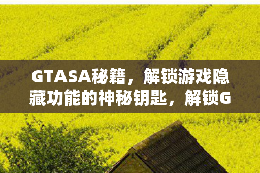 GTASA秘籍，解锁游戏隐藏功能的神秘钥匙，解锁GTASA隐藏功能，秘籍大揭秘