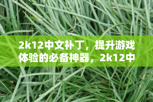 2k12中文补丁,提升游戏体验的必备神器,2k12中文补丁,提升游戏体验的必备利器 2k12中文补丁,提升游戏体验的必备神器,2k12中文补丁,提升游戏体验的必备利器
