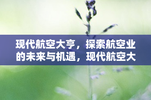 探索航空业的未来与机遇图片