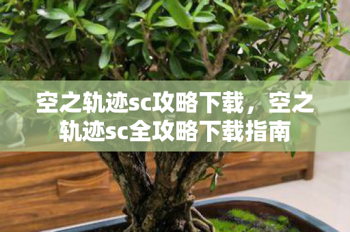 空之轨迹sc全攻略下载指南图片