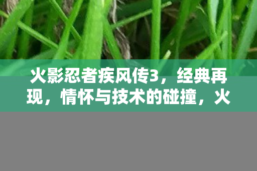经典再现与技术情怀的碰撞图片