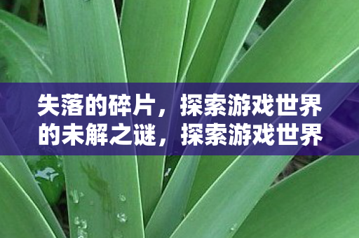 失落的碎片，探索游戏世界的未解之谜，探索游戏世界未解之谜，失落的碎片