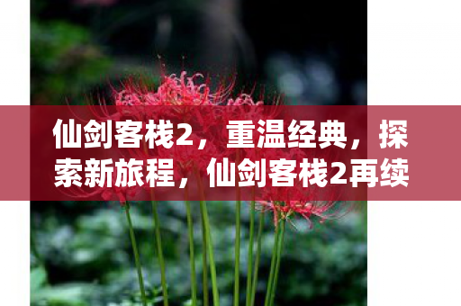 仙剑客栈2,重温经典,探索新旅程,仙剑客栈2再续经典,开启新旅程 仙剑客栈2,重温经典,探索新旅程,仙剑客栈2再续经典,开启新旅程
